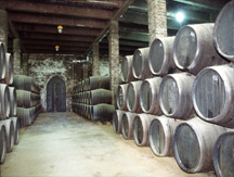 Bodegas