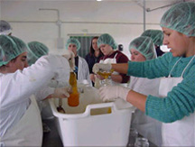 Industria alimentaría